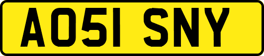 AO51SNY