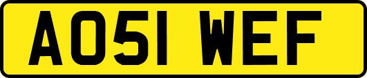 AO51WEF