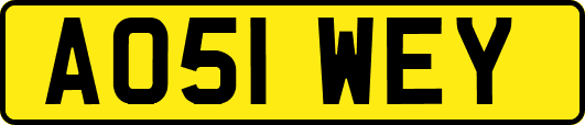 AO51WEY