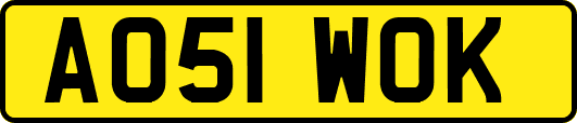 AO51WOK