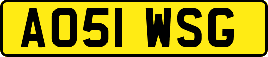 AO51WSG