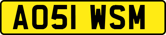 AO51WSM