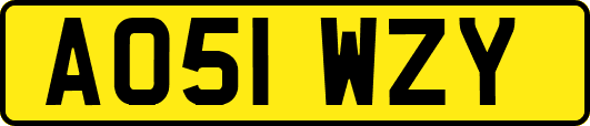 AO51WZY