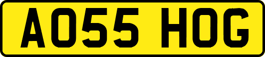 AO55HOG