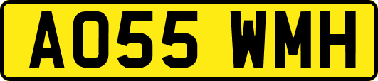 AO55WMH