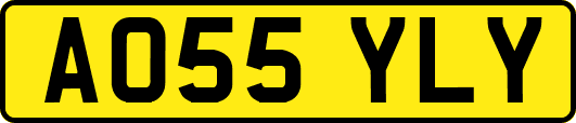 AO55YLY