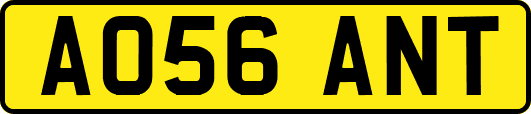 AO56ANT