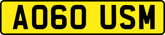 AO60USM