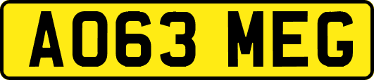 AO63MEG