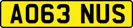 AO63NUS