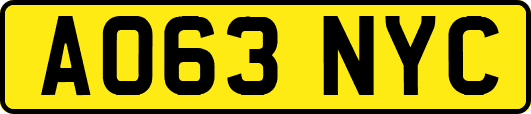 AO63NYC