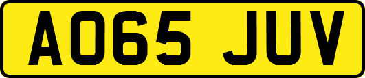 AO65JUV