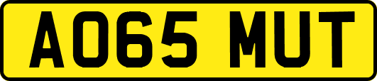 AO65MUT