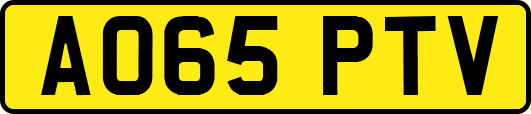 AO65PTV