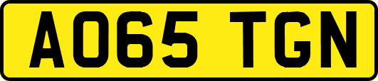 AO65TGN