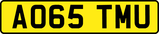 AO65TMU