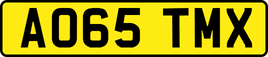 AO65TMX