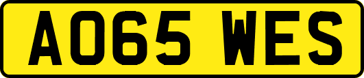 AO65WES