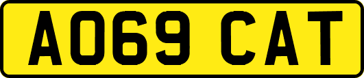 AO69CAT
