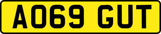 AO69GUT