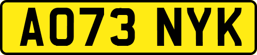 AO73NYK