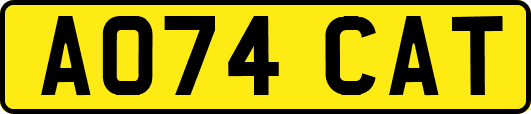 AO74CAT