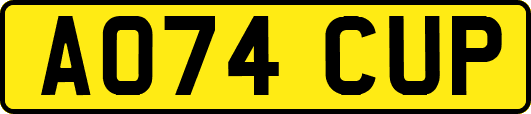 AO74CUP