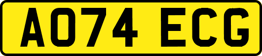 AO74ECG