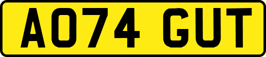 AO74GUT