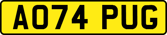 AO74PUG
