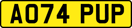 AO74PUP