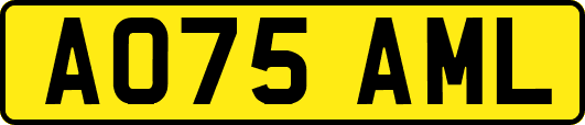 AO75AML