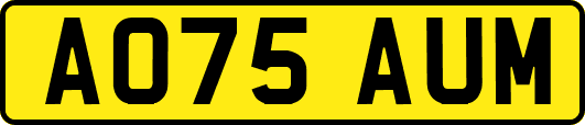 AO75AUM