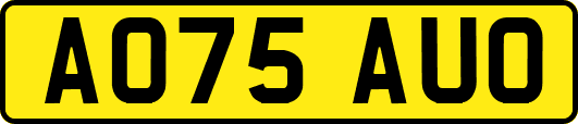 AO75AUO