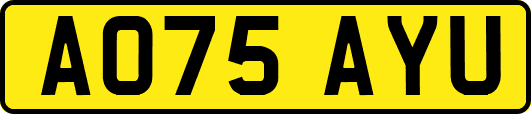 AO75AYU