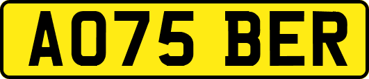 AO75BER