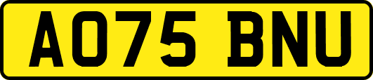 AO75BNU