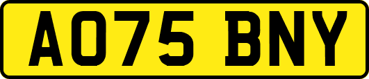AO75BNY