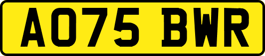 AO75BWR
