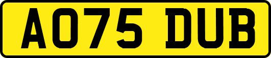 AO75DUB
