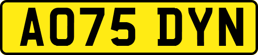 AO75DYN