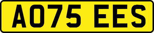 AO75EES