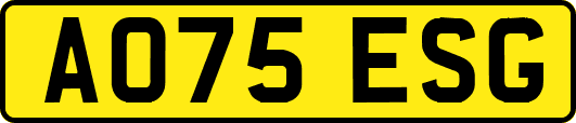 AO75ESG