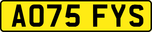AO75FYS