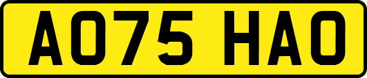 AO75HAO