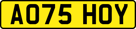 AO75HOY