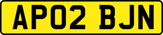 AP02BJN