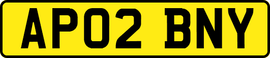 AP02BNY