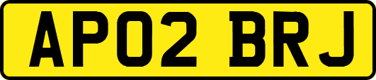 AP02BRJ