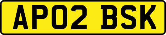 AP02BSK